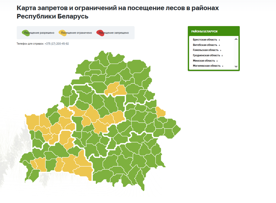 В двух районах Витебской области действуют ограничения на посещение лесов